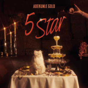 Adekunle Gold - 5 Star Lyrics