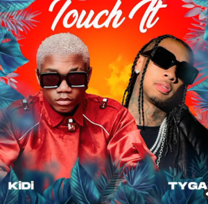 KiDi Ft Tyga - Touch It Remix MP3