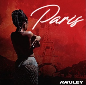 Download MP3: Paris by Awuley