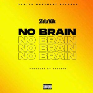 Shatta Wale – No Brain