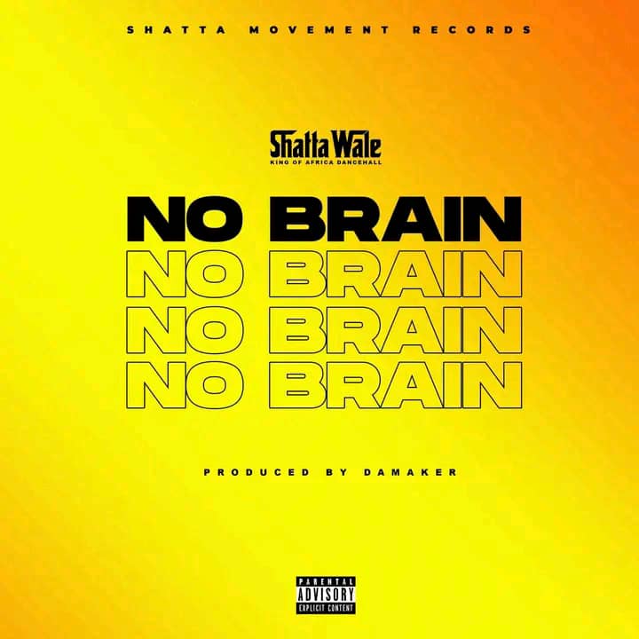 Download MP3: No Brain by Shatta Wale