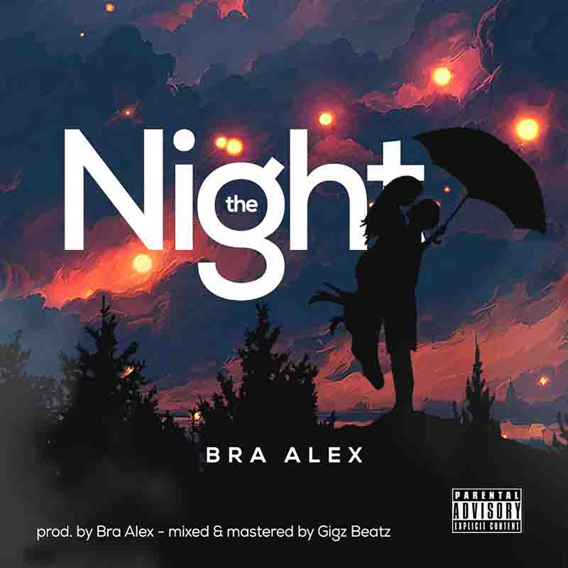 Download MP3: The Night by Bra Alex