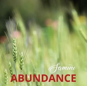 Download MP3: Abundance by Samini