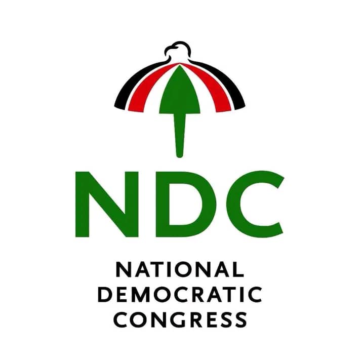 NDC makes national leadership appointments