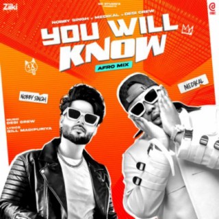 Download MP3: Nobby Singh – You Will Know ft Medikal
