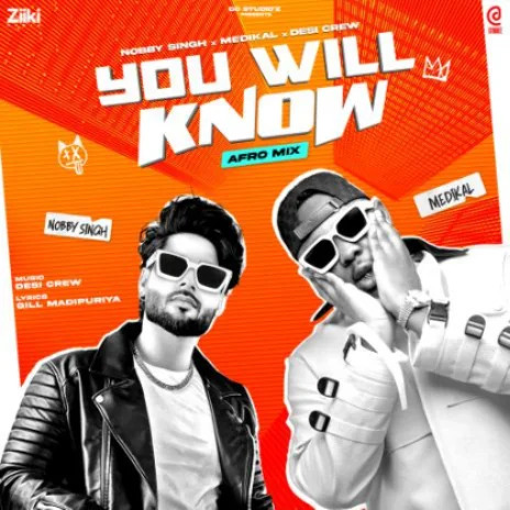 Download MP3: You Will Know by Nobby Singh Ft Medikal (Afro Mix)