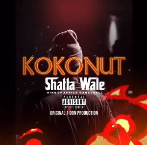 Shatta Wale - Kokonut