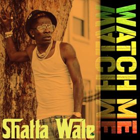 Download MP3: Shatta Wale – Watch Me