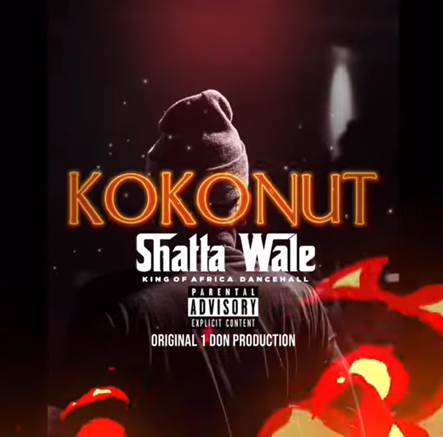 Download MP3: Kokonut by Shatta Wale