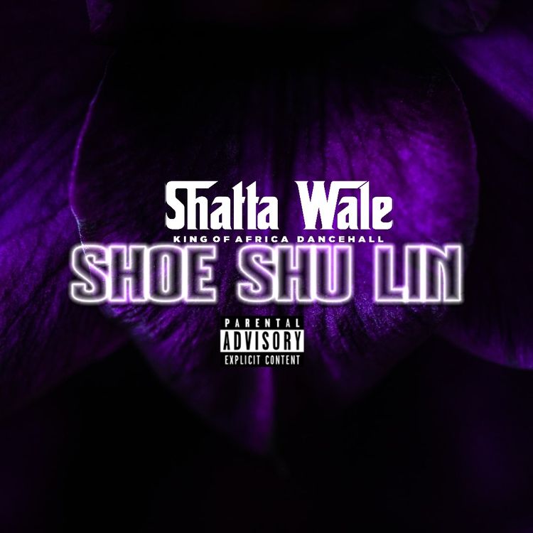 Download MP3: Shoe Shu Lin by Shatta Wale