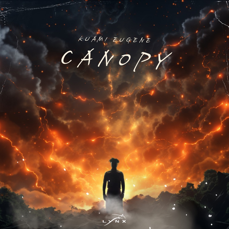 DOWNLOAD : Canopy MP3 By Kuami Eugene
